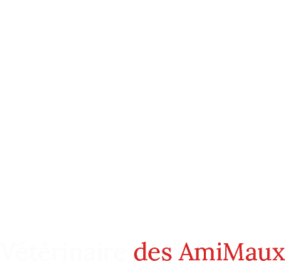 Vétérinaire Argenton-sur-Creuse